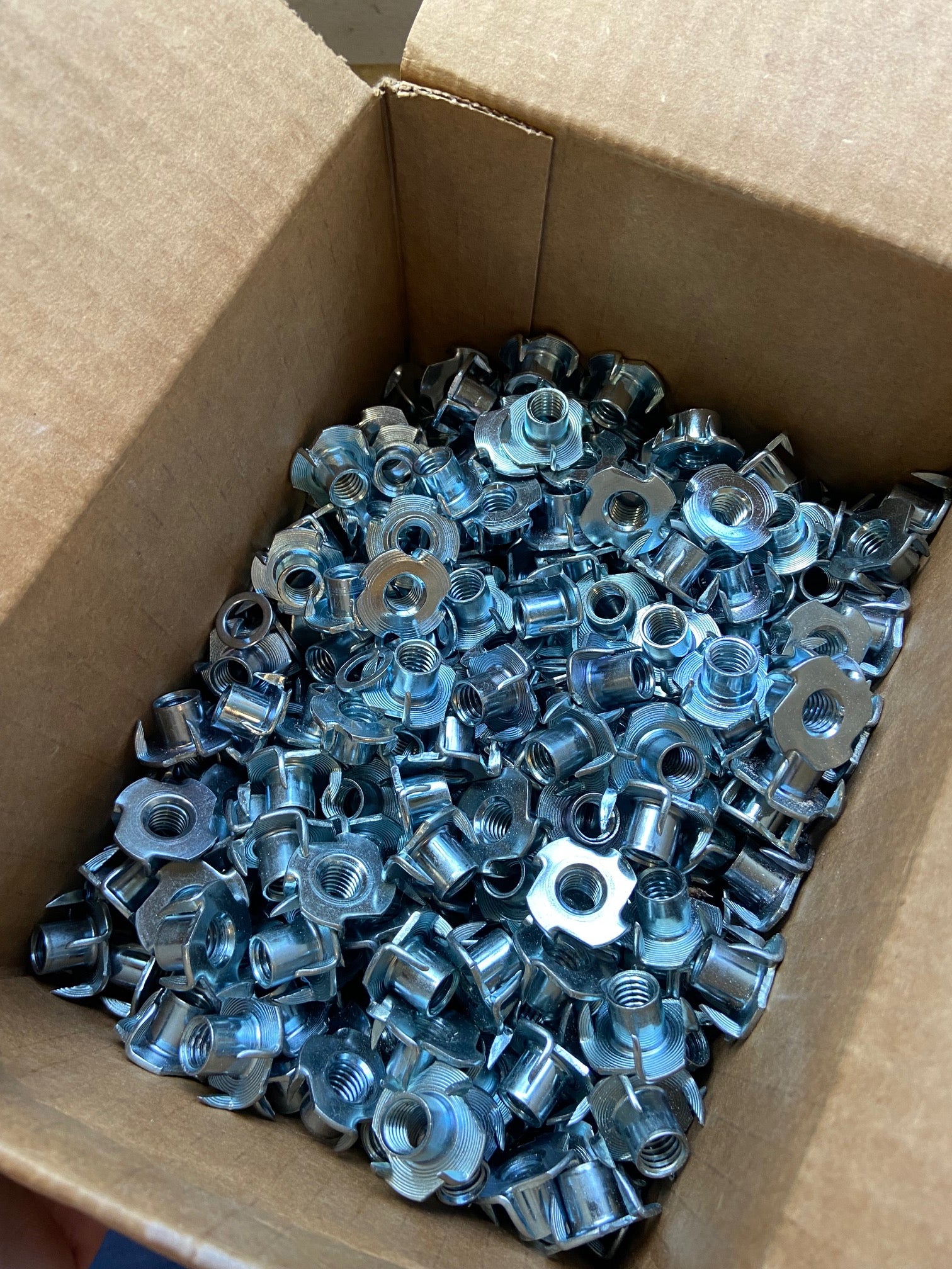 TNuts for Climbing Walls 100 Pack Crypticclimbing