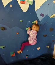 Load image into Gallery viewer, Overstock Box of Climbing Holds - 2.5-10 LB Box