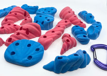 Load image into Gallery viewer, 19-Pack of Seashell Holds - Screw-on Kid&#39;s Climbing Holds
