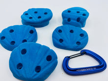 Load image into Gallery viewer, 19-Pack of Seashell Holds - Screw-on Kid&#39;s Climbing Holds
