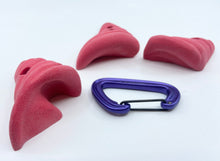 Load image into Gallery viewer, 19-Pack of Seashell Holds - Screw-on Kid&#39;s Climbing Holds
