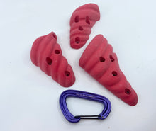 Load image into Gallery viewer, 19-Pack of Seashell Holds - Screw-on Kid&#39;s Climbing Holds
