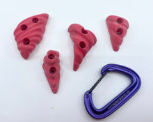 Load image into Gallery viewer, 19-Pack of Seashell Holds - Screw-on Kid&#39;s Climbing Holds
