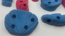 Load and play video in Gallery viewer, 19-Pack of Seashell Holds - Screw-on Kid&#39;s Climbing Holds
